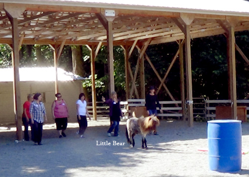 2013 Team Building with Horses